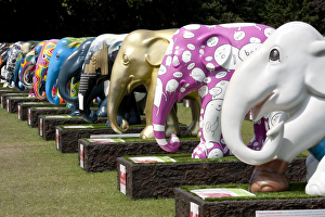 Elephant Parade DP094957 Elephant Parade DP094957