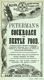 Advertisement for Peterman's Cockroach and Beetle Food Advertisement for Peterman's Cockroach and Beetle Food
