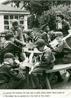 American Cub Scouts American Cub Scouts