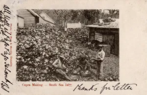 American Samoa - Pago Pago - production of copra American Samoa - Pago Pago - production of copra