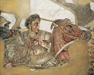 The Battle of Issus. 1st c. Detail of the mosaic The Battle of Issus. 1st c. Detail of the mosaic