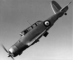 Blackburn Skua diving with brakes extended The Skua nev Blackburn Skua diving with brakes extended The Skua nev