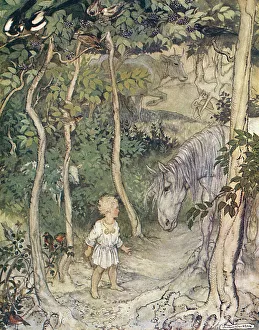 The Boyhood of Fionn The Boyhood of Fionn