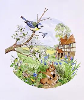 Circular countryside scene Circular countryside scene