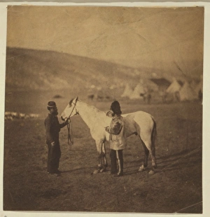 Colonel Clarke, Scots' Greys, with the horse wounded at Bala Colonel Clarke, Scots' Greys, with the horse wounded at Bala