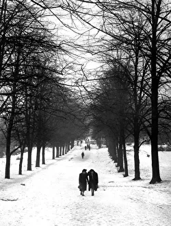 Hampstead Heath 1939 Hampstead Heath 1939