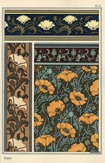 The poppy, Papaver somniferum, in wallpaper The poppy, Papaver somniferum, in wallpaper