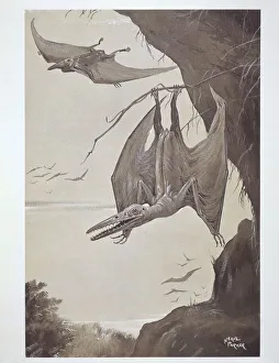 Pterodactyl Pterodactyl