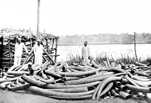 Tippoo Tib's Ivory Store at Stanley Falls, Lualaba River, c Tippoo Tib's Ivory Store at Stanley Falls, Lualaba River, c