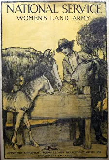 Women WW1 Land Army Women WW1 Land Army