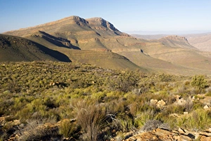 The Cederberg Mountains, Cederberg Wilderness Area, Western Cape, South Africa The Cederberg Mountains, Cederberg Wilderness Area, Western Cape, South Africa