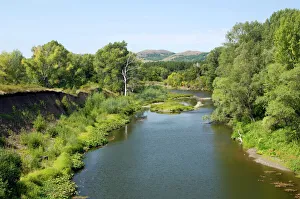 Deciduous forest in river Sakmara valley (a tributary of river Ural) in South Ural Mountains, just before the river enters the steppes Deciduous forest in river Sakmara valley (a tributary of river Ural) in South Ural Mountains, just before the river enters the steppes