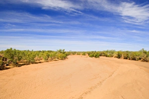 drought - completely dried out riverbed, which is evidence of drought drought - completely dried out riverbed, which is evidence of drought