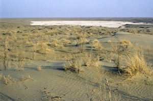 Dry salt marsh - surrounded by sand dunes - a typical scene in Central Karakum desert Dry salt marsh - surrounded by sand dunes - a typical scene in Central Karakum desert