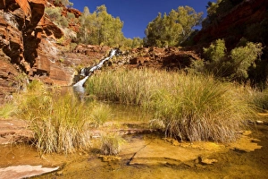 Fortescue Falls - water of a river tumbles down Fortescue Falls, the only permanent waterfall in Karijini National Park, and cascades into pools surrounded by vegetation Fortescue Falls - water of a river tumbles down Fortescue Falls, the only permanent waterfall in Karijini National Park, and cascades into pools surrounded by vegetation
