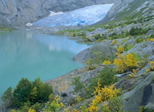 Glacier - blue ice and glacial lake of Nigardsbreen glacier decorated with colourful Glacier - blue ice and glacial lake of Nigardsbreen glacier decorated with colourful