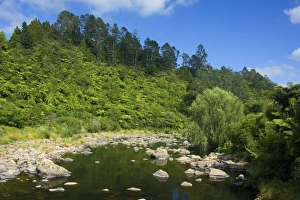 Karangahake Gorge - river flowing through Karangahake gorge surrounded by native Karangahake Gorge - river flowing through Karangahake gorge surrounded by native
