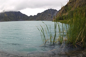 A lake, formed in a crater of volcano Pinatubo (the water level gradually rises over the A lake, formed in a crater of volcano Pinatubo (the water level gradually rises over the