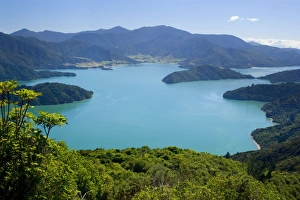 Marlborough Sounds - view from Lookout Hill over Kenepuru Sound with its bays and islands Marlborough Sounds - view from Lookout Hill over Kenepuru Sound with its bays and islands
