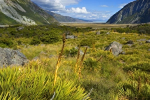 Mount Cook National Park - view from the entrance of Hooker valley towards lake Pukaki Mount Cook National Park - view from the entrance of Hooker valley towards lake Pukaki