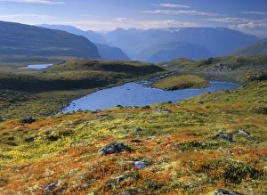 Mountain scenery - colourful autumn tundra with lakes and mountain peaks along Mountain scenery - colourful autumn tundra with lakes and mountain peaks along
