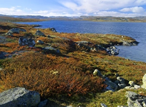 Mountain scenery - lake and mountains with autumn coloured tundra vegetation Mountain scenery - lake and mountains with autumn coloured tundra vegetation