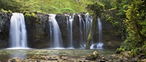 Nandroya Falls - lower part of this beautiful two-tiered waterfall located in lush Nandroya Falls - lower part of this beautiful two-tiered waterfall located in lush