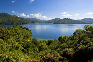 Queen Charlotte Sound - view towards the blue waters of the sound from Queen Charlotte Queen Charlotte Sound - view towards the blue waters of the sound from Queen Charlotte