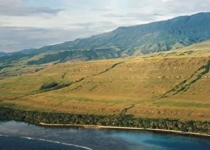 Raised beaches - wave-cut platform - Staircase-like raised coral terraces along the Raised beaches - wave-cut platform - Staircase-like raised coral terraces along the