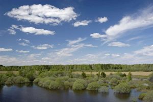 River Tura in North Ural Mountains - a typical large Siberian river with brown waters River Tura in North Ural Mountains - a typical large Siberian river with brown waters