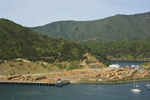 Timber trade - storage place for timber felled around the Marlborough Sounds at Picton Timber trade - storage place for timber felled around the Marlborough Sounds at Picton