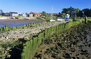 UK - popular location for birdwatching, this coastal region has much bird activity UK - popular location for birdwatching, this coastal region has much bird activity