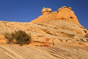 Vermillion Cliffs - White Pocket Church - carved rock made of jurrasic-age Navajo Vermillion Cliffs - White Pocket Church - carved rock made of jurrasic-age Navajo