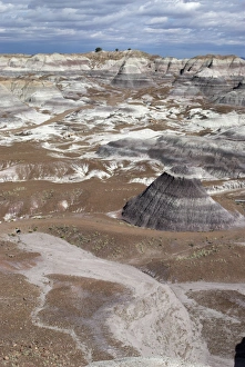 View over Painted Desert showing rock strata, the white layers being sandstone View over Painted Desert showing rock strata, the white layers being sandstone