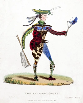 1830 The Entomologist caracature G Spratt 1830 The Entomologist caracature G Spratt