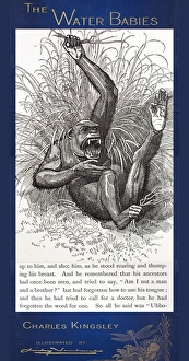 1863 Kingsley Water Babies gorilla 1863 Kingsley Water Babies gorilla