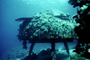 Conshelf Two, Red Sea Conshelf Two, Red Sea