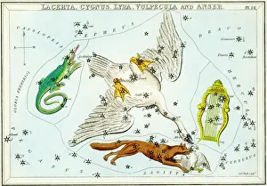 Cygnus and Lyra constellations Cygnus and Lyra constellations