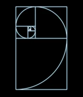 Fibonacci spiral, artwork Fibonacci spiral, artwork