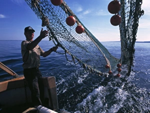 Fishing for scientific specimens Fishing for scientific specimens