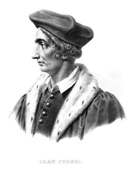 Jean Fernel, French physician Jean Fernel, French physician