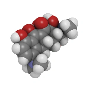 Minocycline antibiotic molecule Minocycline antibiotic molecule