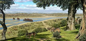 Neanderthal landscape, artwork Neanderthal landscape, artwork