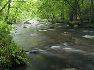 River Teign, Dartmoor, UK River Teign, Dartmoor, UK