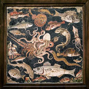 Roman seafood mosaic Roman seafood mosaic