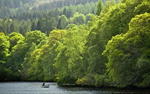 Scotland, Perth and Kinross, Pitlochry. Fishing from a boat on Loch Faskally Scotland, Perth and Kinross, Pitlochry. Fishing from a boat on Loch Faskally