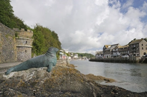 Bronze statue in memory of Nelson a bull grey seal who frequented Looe island and harbour Bronze statue in memory of Nelson a bull grey seal who frequented Looe island and harbour