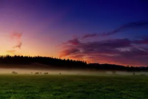 Farmland of Auburn at sunrise, Washington State, United States of America, North America Farmland of Auburn at sunrise, Washington State, United States of America, North America