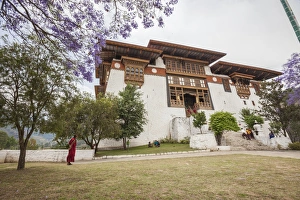 The garden at the entrance of the Punakha Dzong where there are trees of different species The garden at the entrance of the Punakha Dzong where there are trees of different species