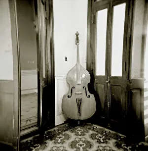 Image taken with a Holga medium format 120 film toy camera of double bass resting against Image taken with a Holga medium format 120 film toy camera of double bass resting against